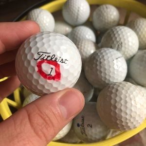40 Recovered Titleist Pro V1/V1x Golf Balls